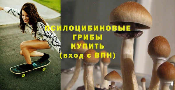 прущий лед Аркадак