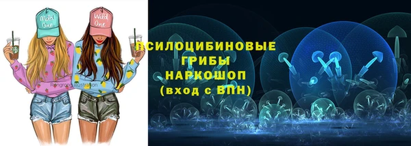 прущий лед Аркадак